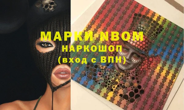MDMA Новозыбков