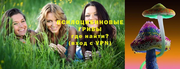 спиды Новокубанск